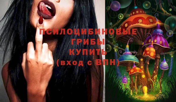 эйфоретик Алексин