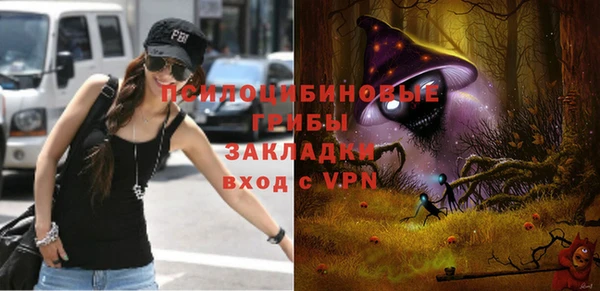 гидра Алзамай