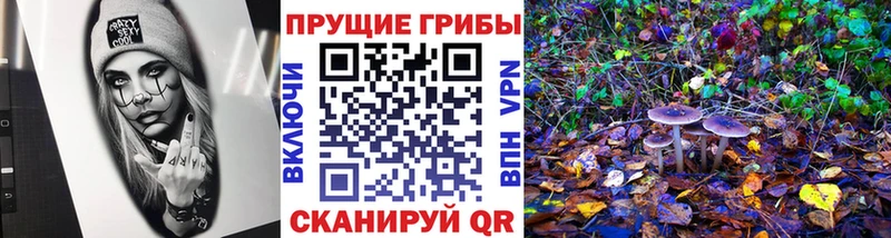 Псилоцибиновые грибы ЛСД  что такое   ссылка на мегу зеркало  Бабаево 